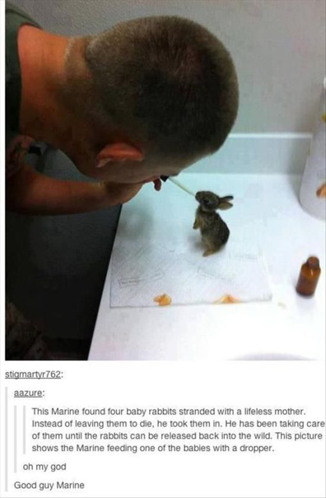 Humanity, photograph, photography, animal rescue photo, human animal, people saving animal, emotional, amazing, people, world, humanity, viral, story telling photographs, best photos, faith in humanity restored, most emotional photo, around the world, extraordinary photographs, incredibly photographs, real life story