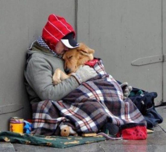 Humanity, photograph, photography, animal rescue photo, human animal, people saving animal, emotional, amazing, people, world, humanity, viral, story telling photographs, best photos, faith in humanity restored, most emotional photo, around the world, extraordinary photographs, incredibly photographs, real life story