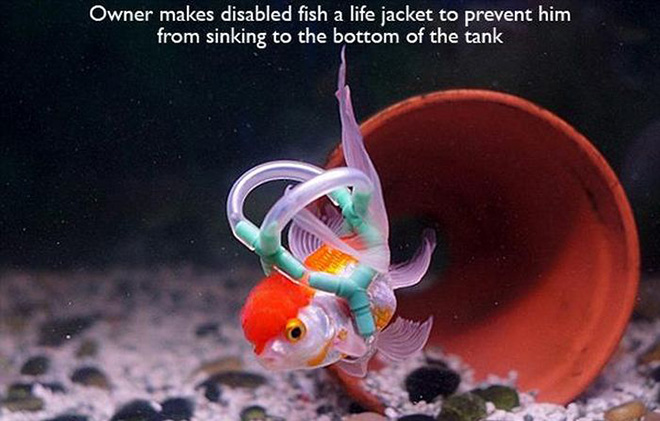 humanity, photograph, photography, animal rescue photo, human animal, people saving animal, emotional, amazing, people, world, humanity, viral, story telling photographs, best photos, faith in humanity restored, most emotional photo, around the world, extraordinary photographs, incredibly photographs, real life story