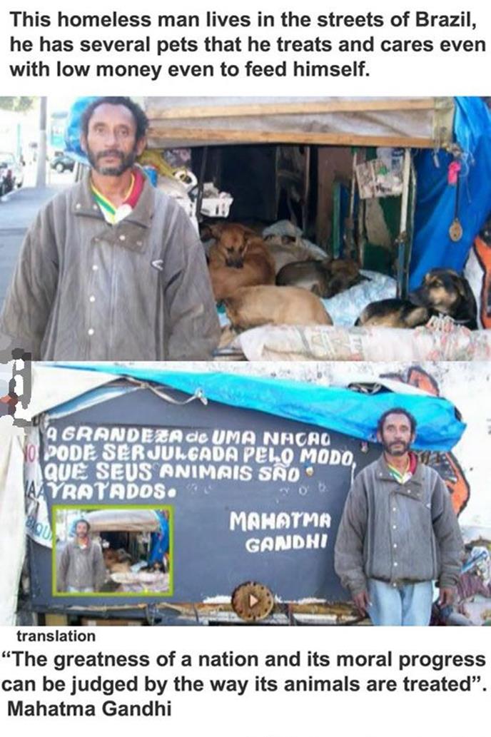 humanity, photograph, photography, animal rescue photo, human animal, people saving animal, emotional, amazing, people, world, humanity, viral, story telling photographs, best photos, faith in humanity restored, most emotional photo, around the world, extraordinary photographs, incredibly photographs, real life story