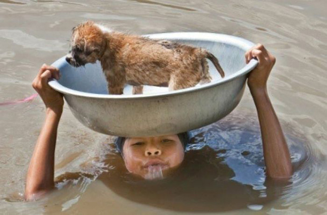 Humanity, photograph, photography, animal rescue photo, human animal, people saving animal, emotional, amazing, people, world, humanity, viral, story telling photographs, best photos, faith in humanity restored, most emotional photo, around the world, extraordinary photographs, incredibly photographs, real life story