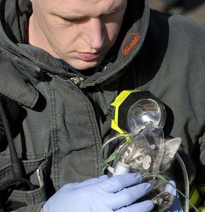 humanity, photograph, photography, animal rescue photo, human animal, people saving animal, emotional, amazing, people, world, humanity, viral, story telling photographs, best photos, faith in humanity restored, most emotional photo, around the world, extraordinary photographs, incredibly photographs, real life story