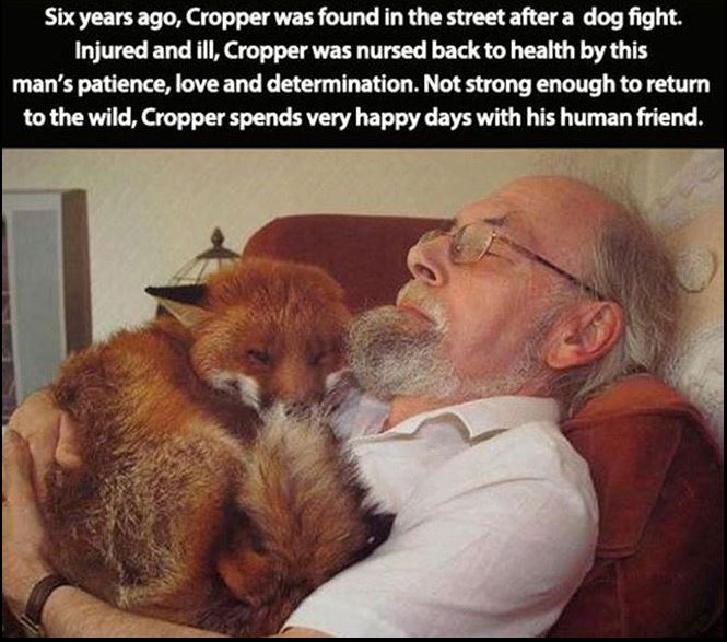 humanity humans traitent touching funcage domesticated awesomelycute