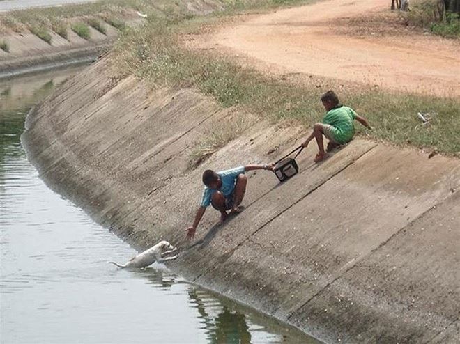 Humanity, photograph, photography, animal rescue photo, human animal, people saving animal, emotional, amazing, people, world, humanity, viral, story telling photographs, best photos, faith in humanity restored, most emotional photo, around the world, extraordinary photographs, incredibly photographs, real life story