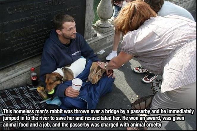 Humanity, photograph, photography, animal rescue photo, human animal, people saving animal, emotional, amazing, people, world, humanity, viral, story telling photographs, best photos, faith in humanity restored, most emotional photo, around the world, extraordinary photographs, incredibly photographs, real life story