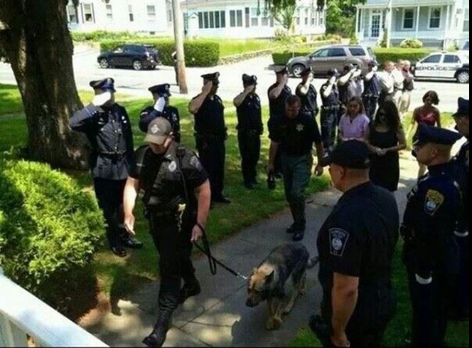 humanity, photograph, photography, animal rescue photo, human animal, people saving animal, emotional, amazing, people, world, humanity, viral, story telling photographs, best photos, faith in humanity restored, most emotional photo, around the world, extraordinary photographs, incredibly photographs, real life story