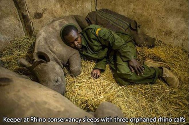 humanity, photograph, photography, animal rescue photo, human animal, people saving animal, emotional, amazing, people, world, humanity, viral, story telling photographs, best photos, faith in humanity restored, most emotional photo, around the world, extraordinary photographs, incredibly photographs, real life story