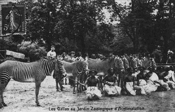 Human zoo, europe, negro village, black people, africans, racism, humanity, secret of europe