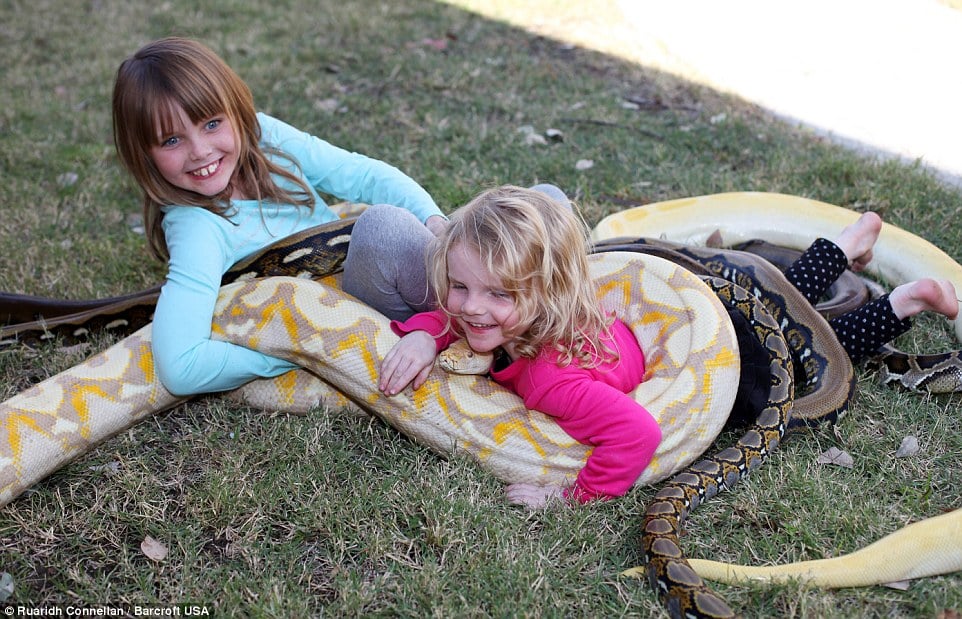 Eric leblanc, eric leblanc photo, america, children with snake, kids with python, kids with lizard, animals home, reptile lovers, california, dangerous pet, children playing with snakes, play with python, weird family, amazing, coolest dad