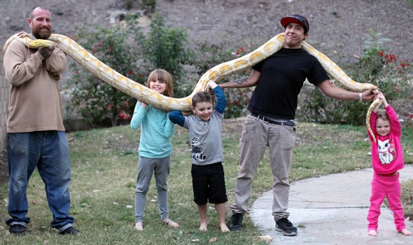 eric leblanc, eric leblanc photo, america, children with snake, kids with python, kids with lizard, animals home, reptile lovers, california, dangerous pet, children playing with snakes, play with python, weird family, amazing, coolest dad