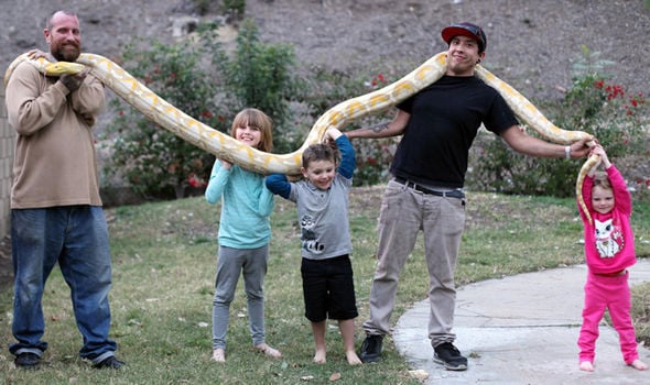 Eric leblanc, eric leblanc photo, america, children with snake, kids with python, kids with lizard, animals home, reptile lovers, california, dangerous pet, children playing with snakes, play with python, weird family, amazing, coolest dad