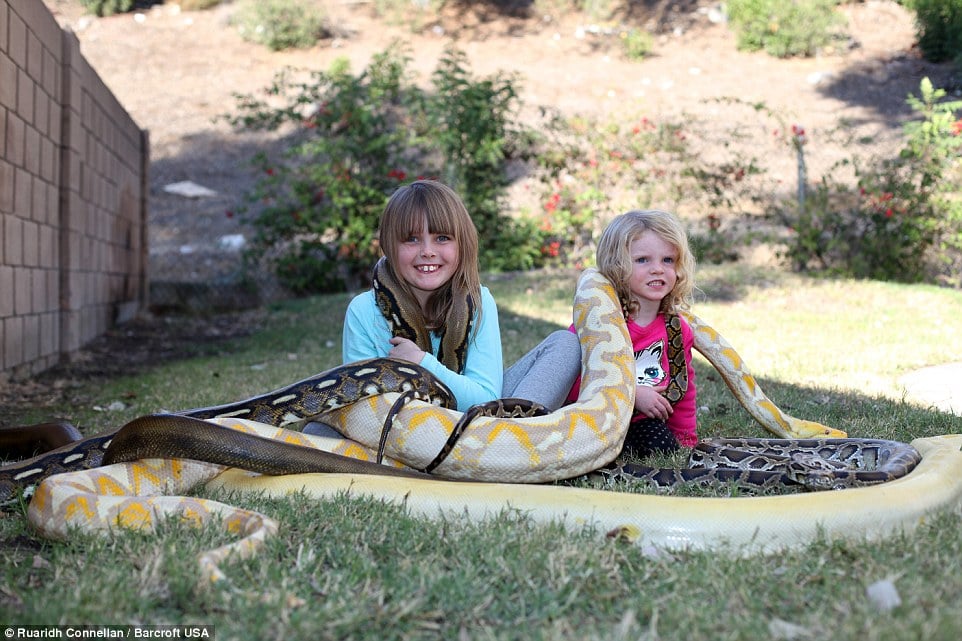 Eric leblanc, eric leblanc photo, america, children with snake, kids with python, kids with lizard, animals home, reptile lovers, california, dangerous pet, children playing with snakes, play with python, weird family, amazing, coolest dad