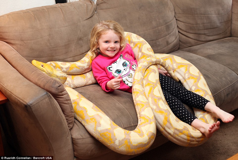 Eric leblanc, eric leblanc photo, america, children with snake, kids with python, kids with lizard, animals home, reptile lovers, california, dangerous pet, children playing with snakes, play with python, weird family, amazing, coolest dad