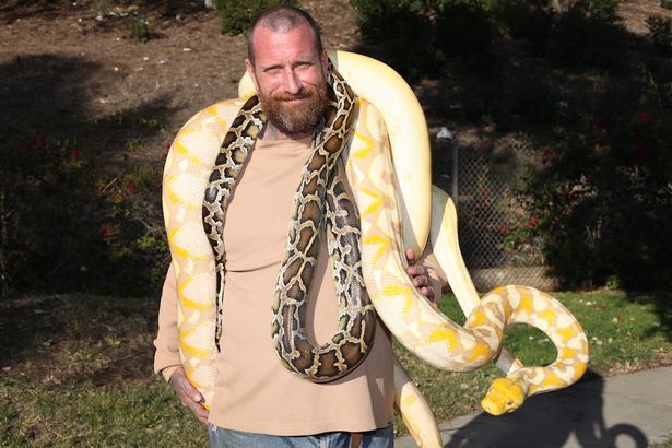 Eric leblanc, eric leblanc photo, america, children with snake, kids with python, kids with lizard, animals home, reptile lovers, california, dangerous pet, children playing with snakes, play with python, weird family, amazing, coolest dad