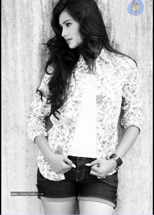 pallavi subhash  wallpapers,pallavi subhash  hot pics,pallavi subhash  sexy pics,pallavi subhash  latest pics,pallavi subhash  movie, pallavi subhash  hot photo