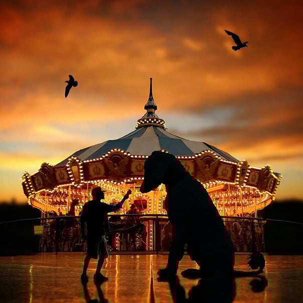 16 Incredible Pics of Giant Dog  Just Awesome (10)