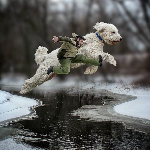 16 Incredible Pics of Giant Dog  Just Awesome (3)