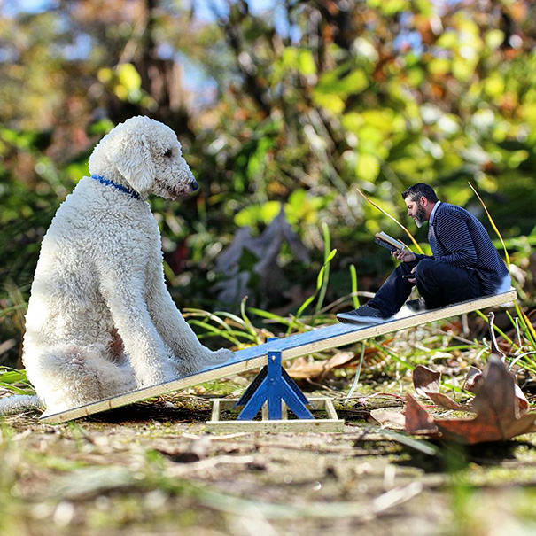 16 Incredible Pics of Giant Dog  Just Awesome (5)