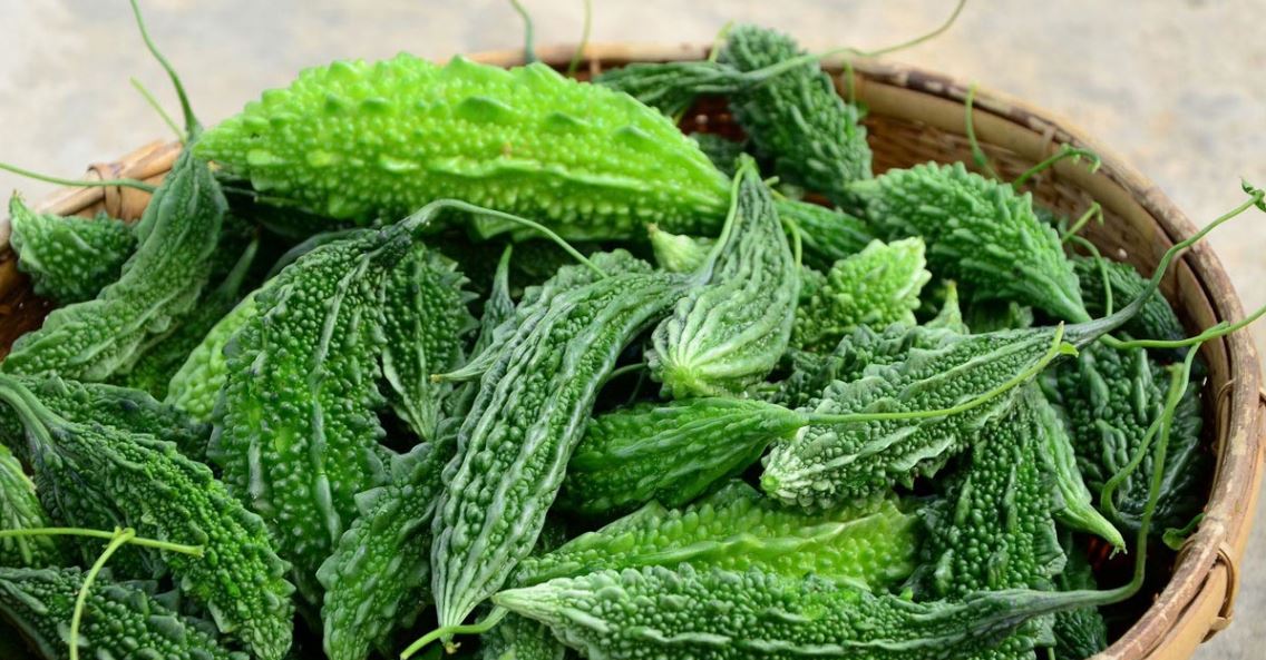 karela, karela ke fayde,benefits of karela,benefits,karela skin benefits,health facts,karela benefit for health,health,health benefits, bitter gourd health benefits, bitter gourd benefits