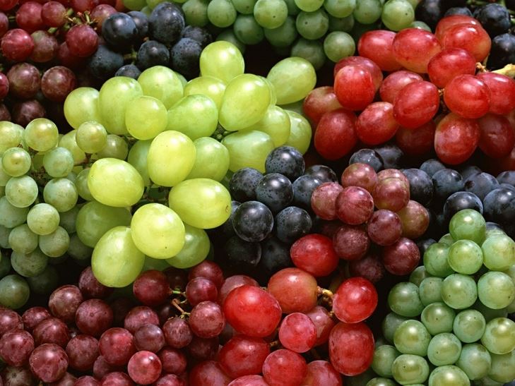 angoor, angoor ke fayde,benefits of angoor,benefits,angoor skin benefits,health facts,angoor benefit for health,health,health benefits, grapes health benefits, grapes benefits