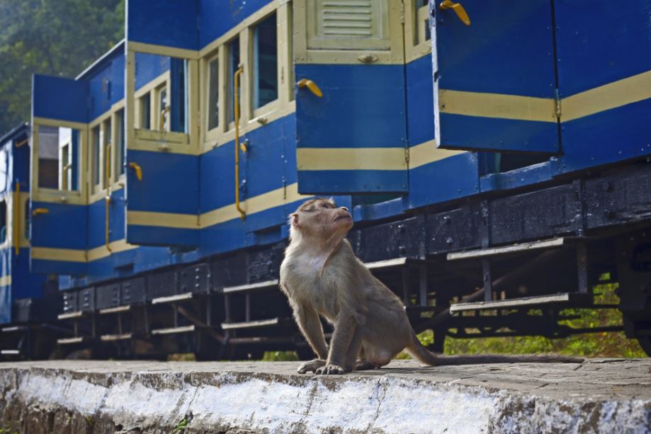indian railway system 3