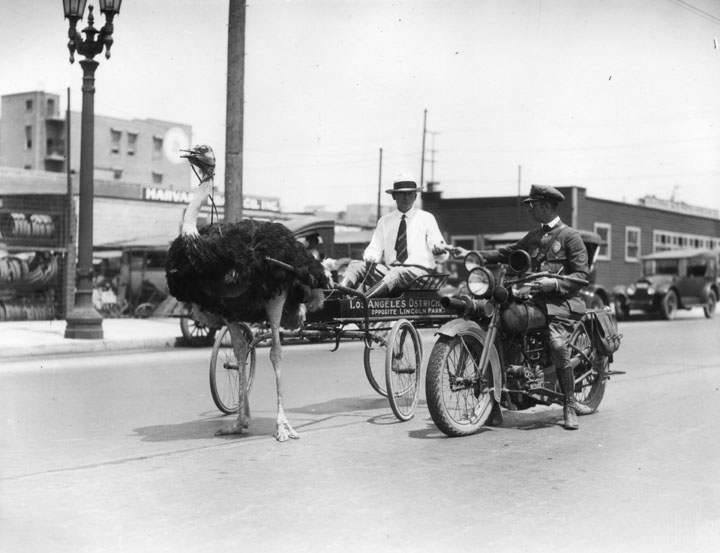 downtown los angeles old photo, , los angeles,los angeles old photo,los angeles old pics,nunca viu los angeles,unseen photo los angeles, hollywood, hollywoodium photos