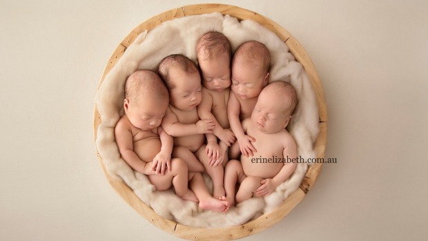 australia, mother, quintuplet, baby, viral, pregnancy, perth, amazing, photoshoot