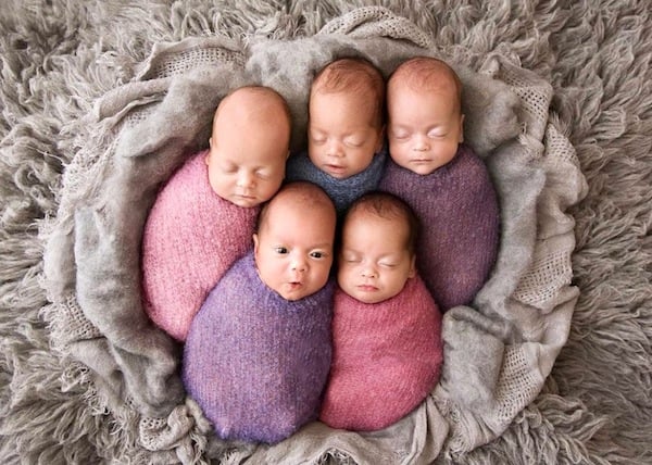 australia, mother, quintuplet, baby, viral, pregnancy, perth, amazing, photoshoot