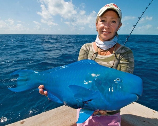 animal, unusual animals, weird, less known animal, less famous animal, endangered animals, strange animals, sea creatures, 