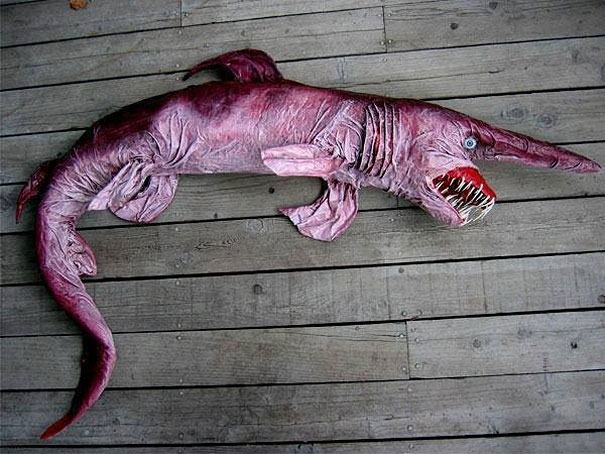 20 Strange, Weird & Ugly Animals That You Didn't Know Exist | Reckon Talk 20 Strange, Weird & Ugly Animals That You Didn't Know Exist | Reckon Talk