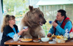 This Russian Family Dines With 23 Year Old, 300lb Pet BEAR