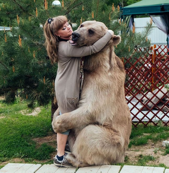 Russia, russian, amazing, animal, bear, pet bear, adoption bears, wtf, omg, moscow