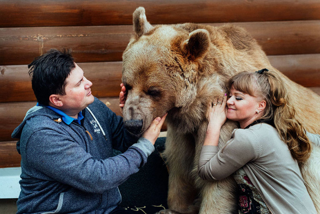 Russia, russian, amazing, animal, bear, pet bear, adoption bears, wtf, omg, moscow