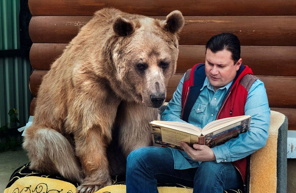Russia, russian, amazing, animal, bear, pet bear, adoption bears, wtf, omg, moscow