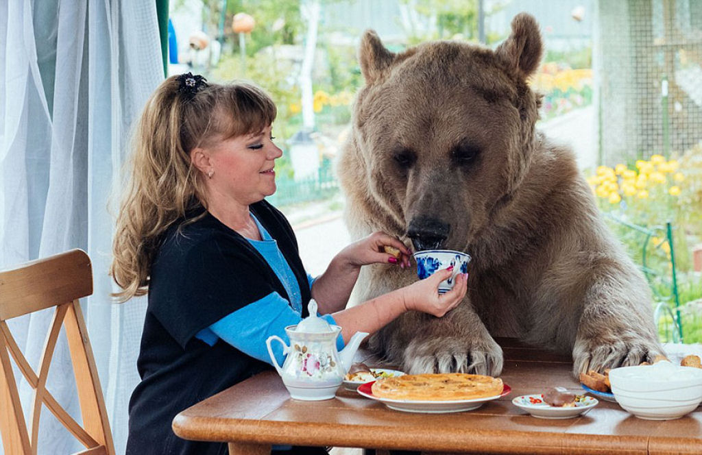 Russia, russian, amazing, animal, bear, pet bear, adoption bears, wtf, omg, moscow