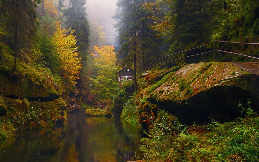 Photography, cabin in the woods, mini house, lonely house, wild, cozy cabins, wooden cabins, amazing, wow, nature