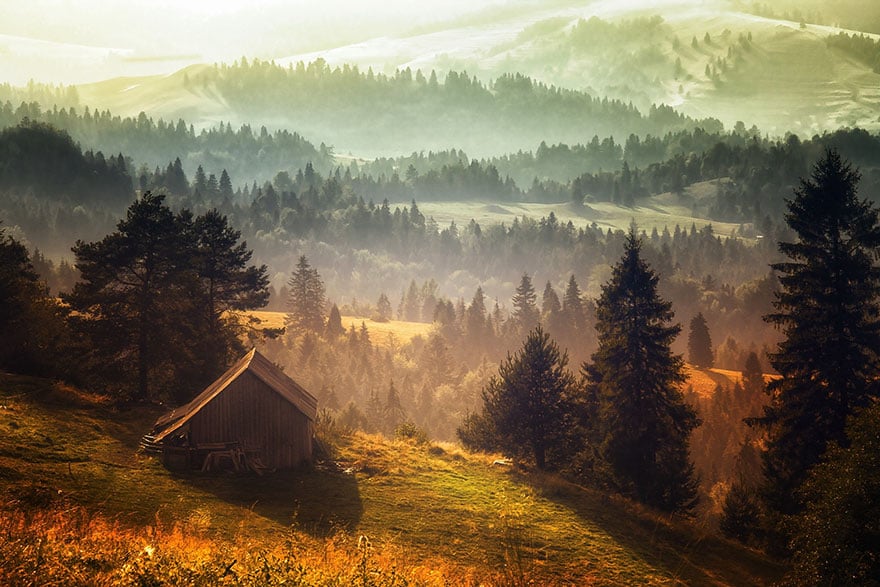 Photography, cabin in the woods, mini house, lonely house, wild, cozy cabins, wooden cabins, amazing, wow, nature