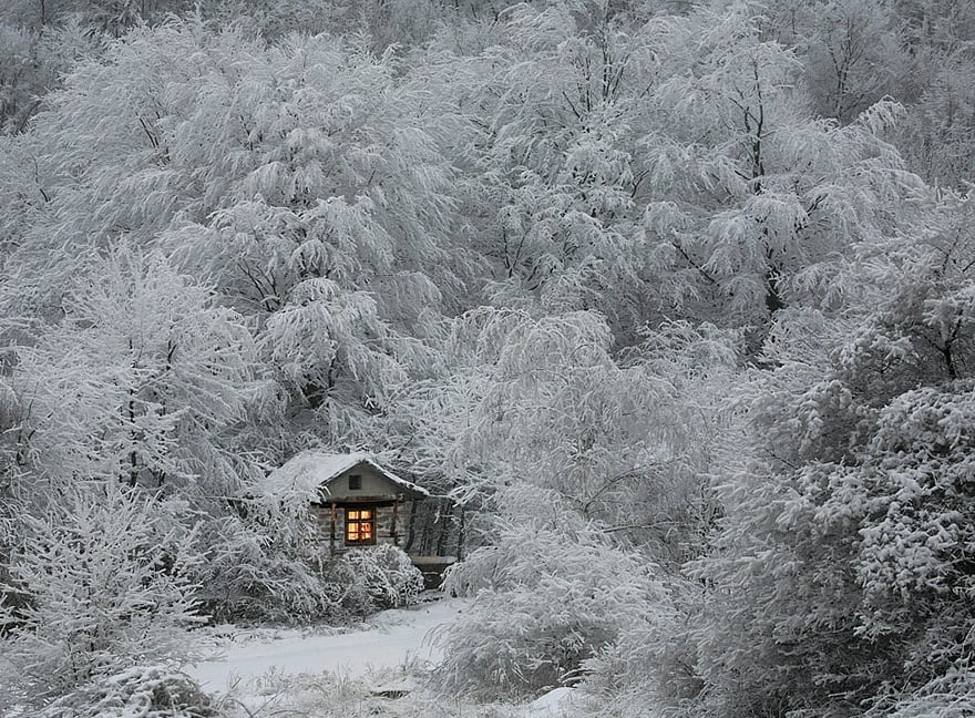 photography, cabin in the woods, mini house, lonely house, wild, cozy cabins, wooden cabins, amazing, wow, nature