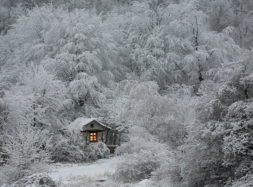 Photography, cabin in the woods, mini house, lonely house, wild, cozy cabins, wooden cabins, amazing, wow, nature