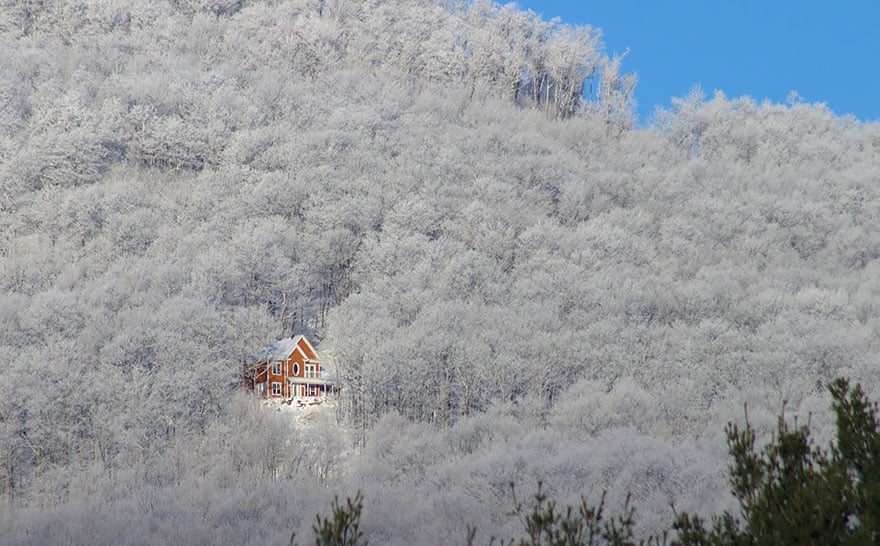 Photography, cabin in the woods, mini house, lonely house, wild, cozy cabins, wooden cabins, amazing, wow, nature