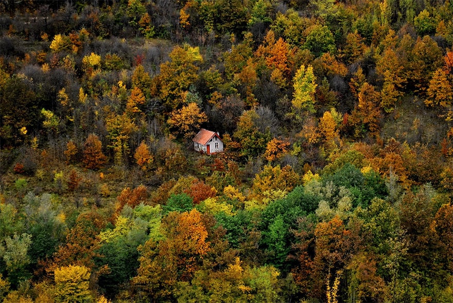 Photography, cabin in the woods, mini house, lonely house, wild, cozy cabins, wooden cabins, amazing, wow, nature