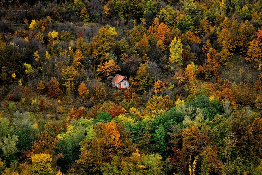 photography, cabin in the woods, mini house, lonely house, wild, cozy cabins, wooden cabins, amazing, wow, nature