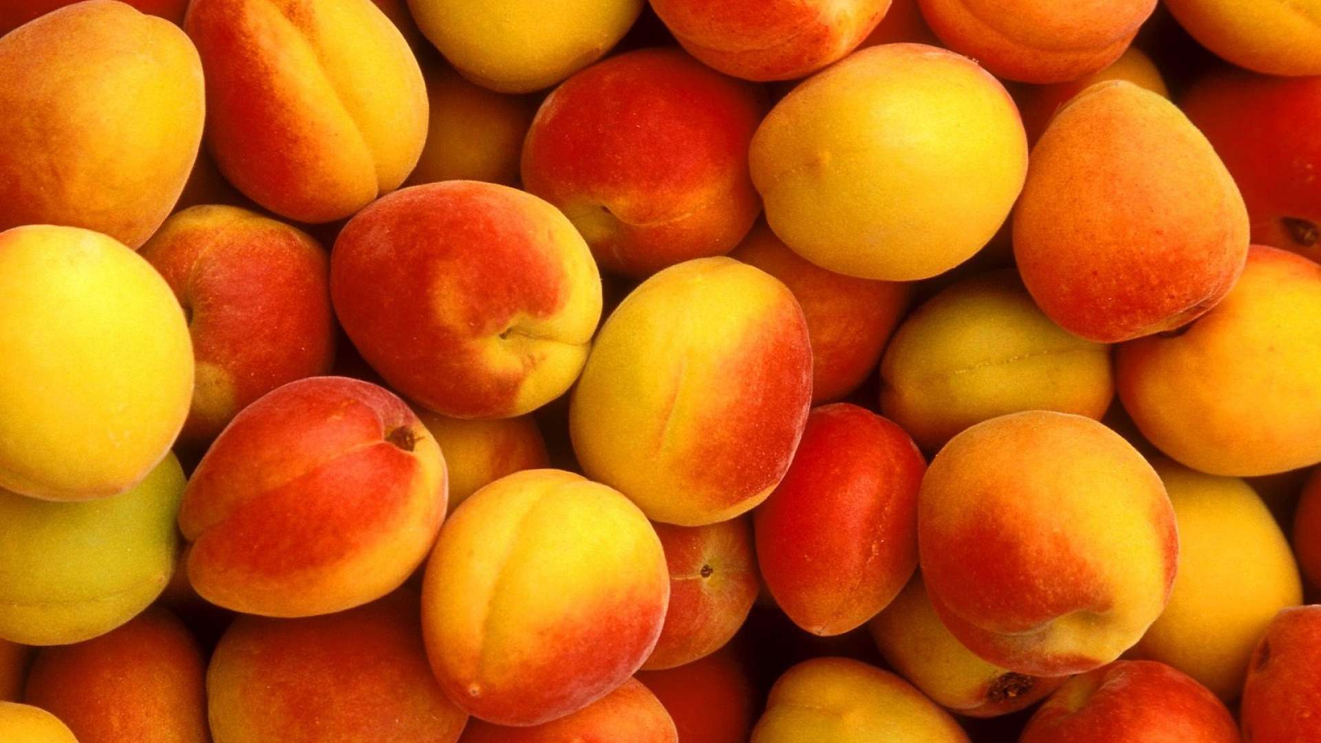 khubani , khubani ke fayde,benefits of apricot , benefits,apricot health benefits,health facts,apricot benefit for health,health,health benefits, apricot health benefits, apricot benefits