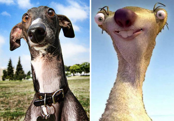 cartoon character, cartoon lookalikes, comic character, funny, cute, amazing, awesome
