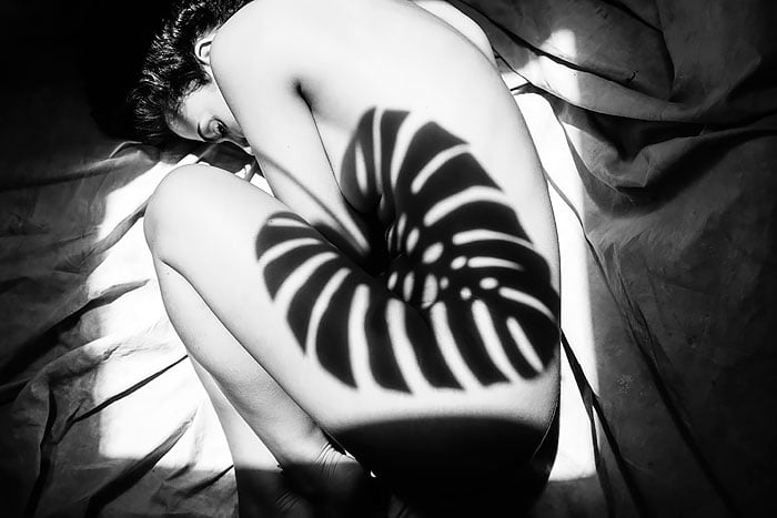 photography, shadow photography, beautiful, creative, brilliant, amazing, innovative