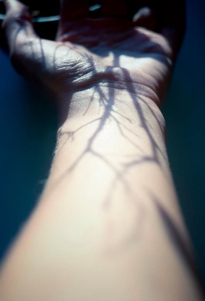 photography, shadow photography, beautiful, creative, brilliant, amazing, innovative