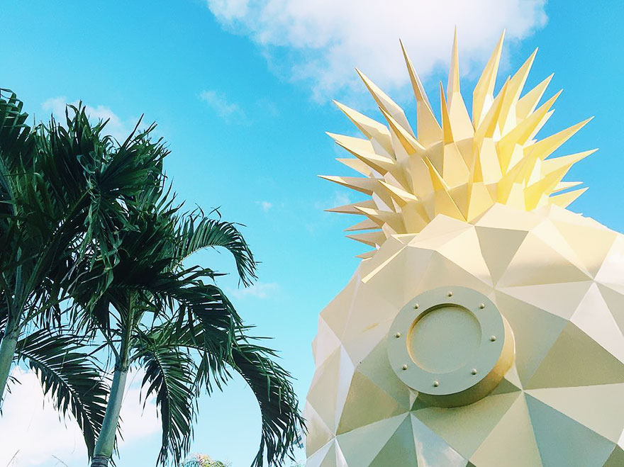 Nick Resort Punta Cana, Nickelodean, pineapple villa, hotel, amazing, innovative, wow, awesome, photography