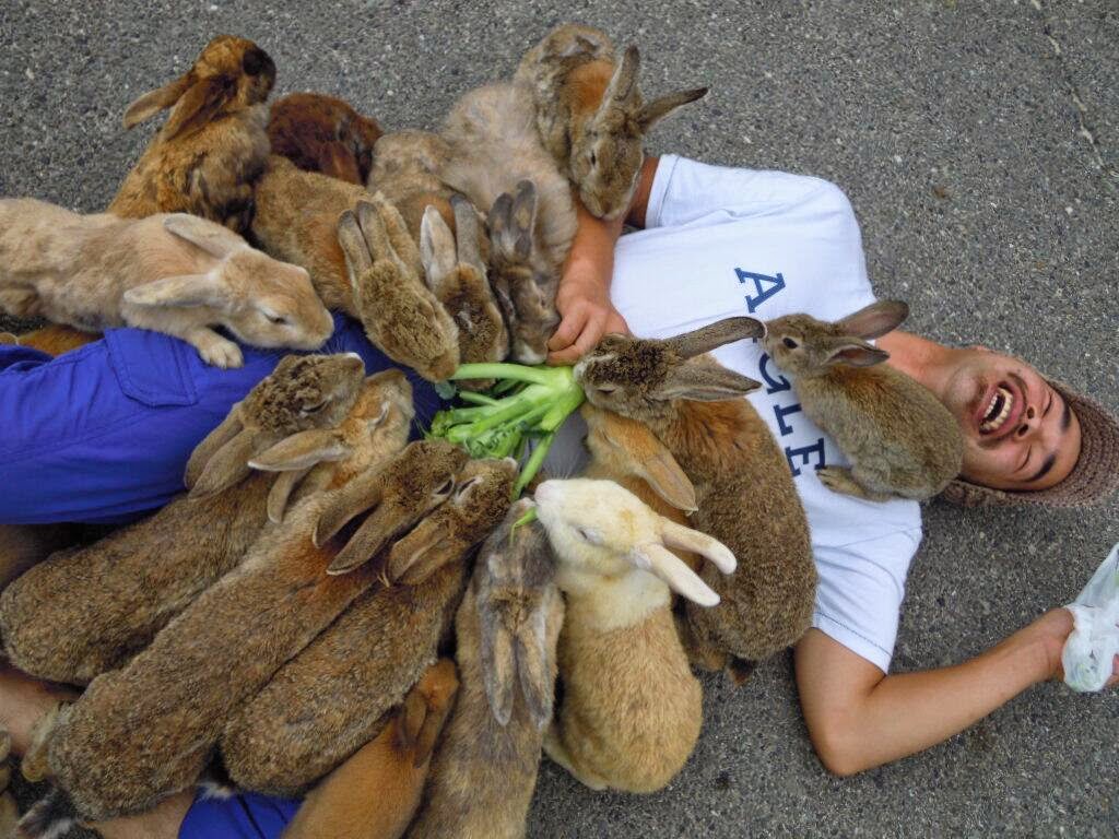 Happy, photo, life, happiest pictures, photography, happy animal, happy kids, funny