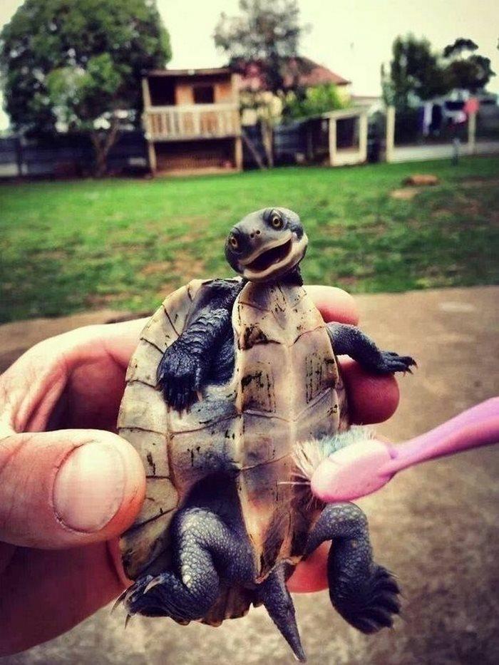 happy, photo, life, happiest pictures, photography, happy animal, happy kids, funny