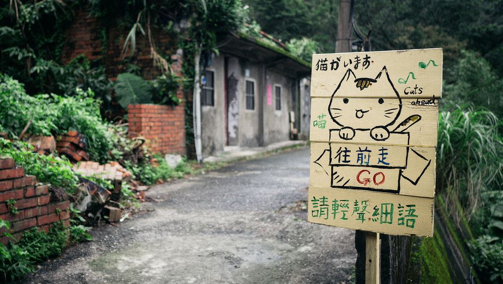 Cat village taiwan, cat village japan, london cat village, taipei city, houtong, cat village, taiwan, travel tips, asia